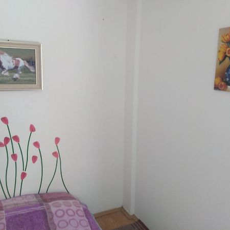 Hostel Trajan Donji Milanovac Buitenkant foto