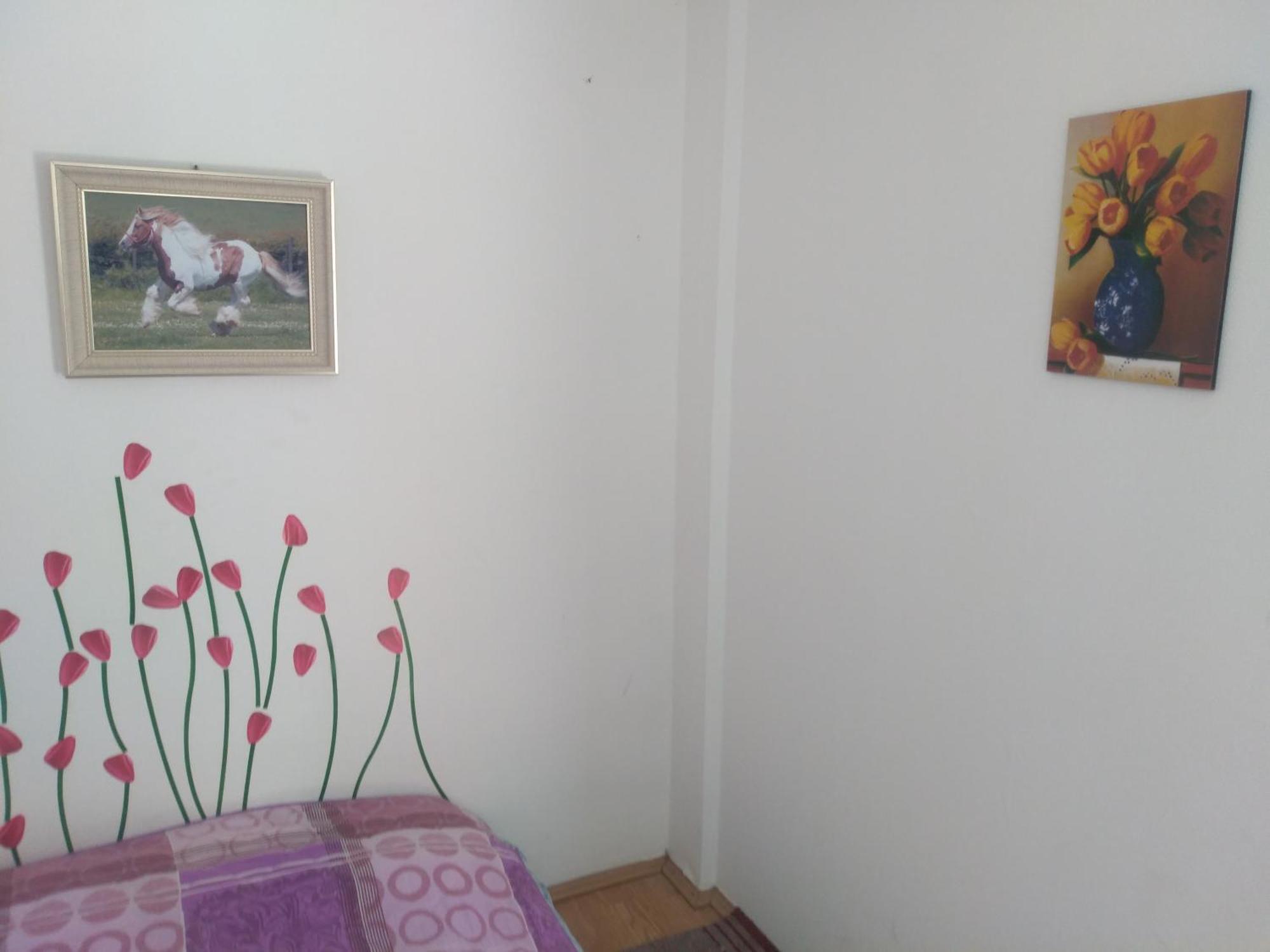 Hostel Trajan Donji Milanovac Buitenkant foto