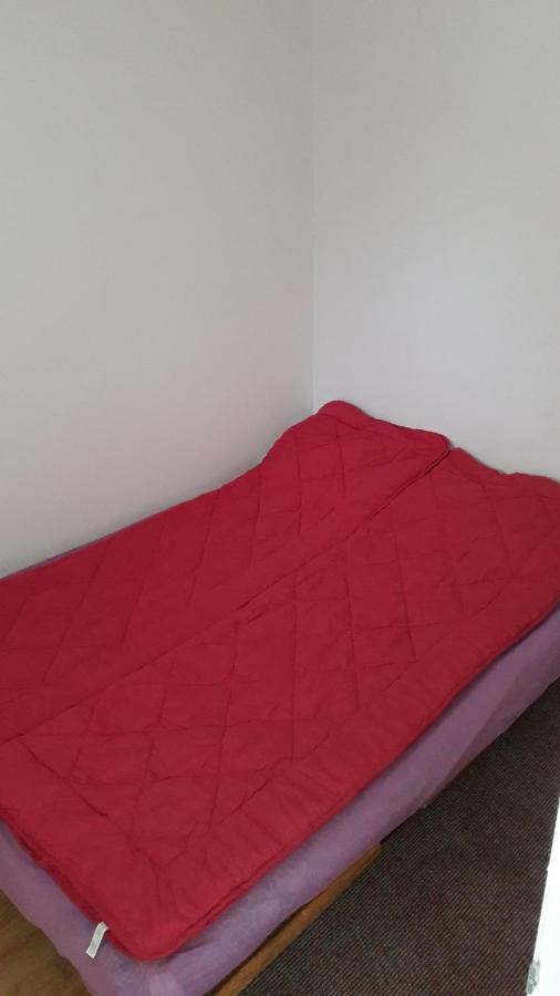 Hostel Trajan Donji Milanovac Buitenkant foto
